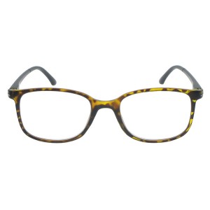 Plastic Reading Glasses